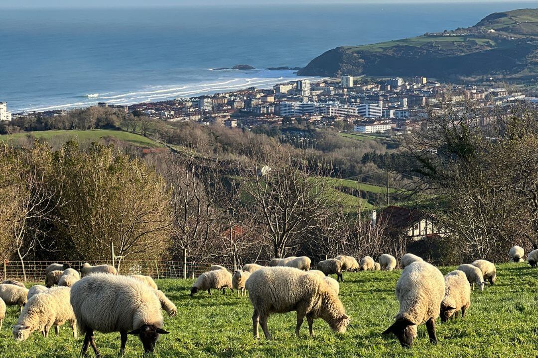 The Best Hiking Trails in San Sebastián best day hikes from san sebastian