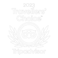 tripadvisor award white 99